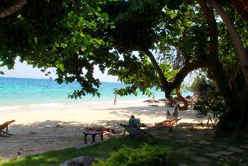 Zoom Phi Phi Relax Beach Resort - Bild 1