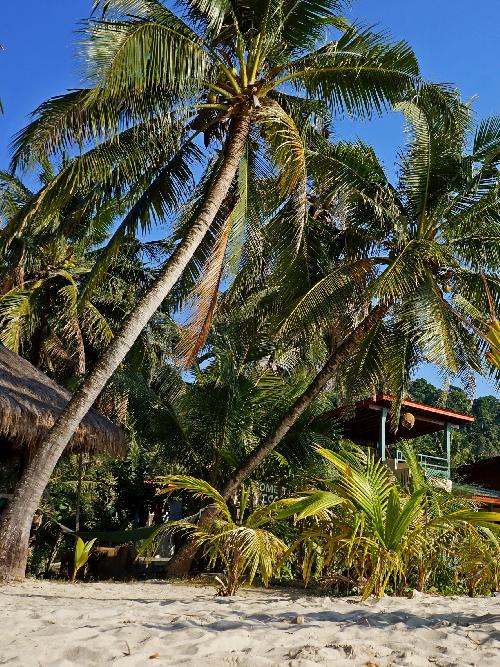 Zoom Koh Chang - tropischer relaxter Inseltraum - Bild 2 