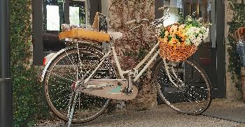 Entdecke das unbekannte Bangkok auf einer Fahrradtour - Bild 2