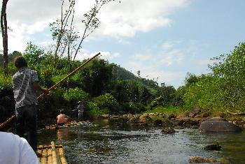 Flussfahrt per Bambusflo und Elefantenbaden im Khao Sok - Bild 3