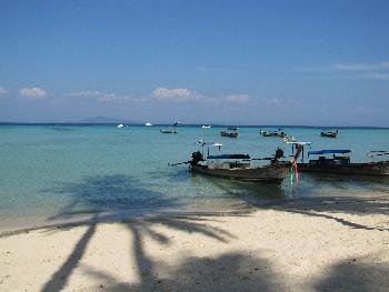 Speedboat-Tour zur Inselgruppe Koh PhiPhi - Bild 3